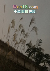 隐秘的激情